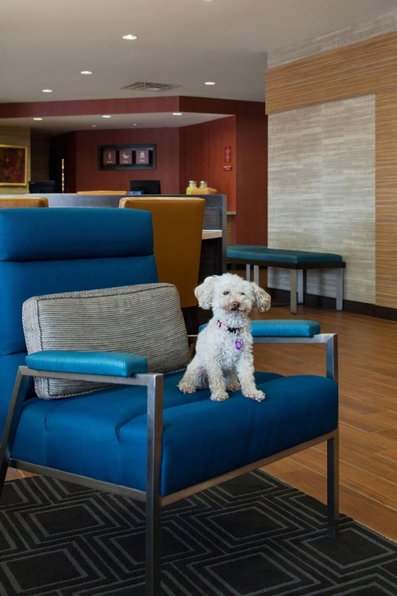 Towneplace Suites By Marriott Austin Раунд Рок Екстериор снимка